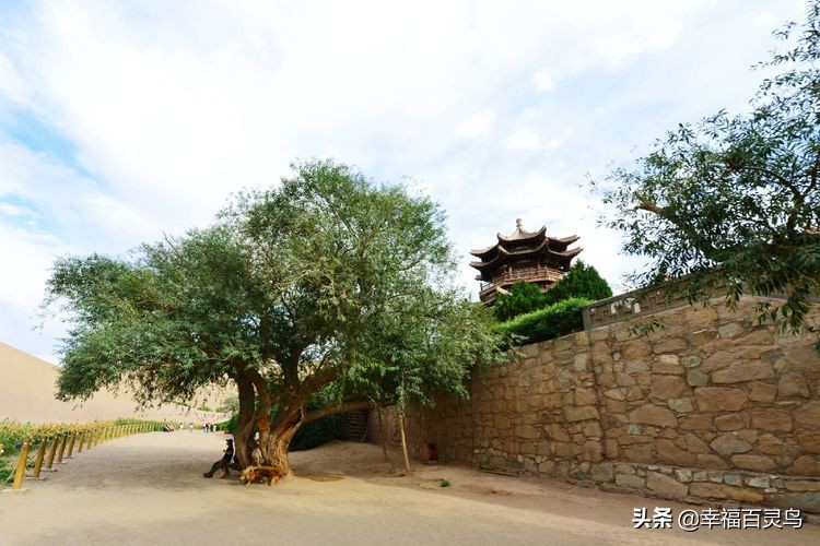 西天取经自驾游攻略,贵州出发自驾敦煌旅游攻略