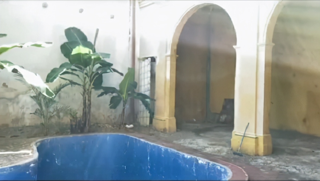 许婧房子,许婧的新家