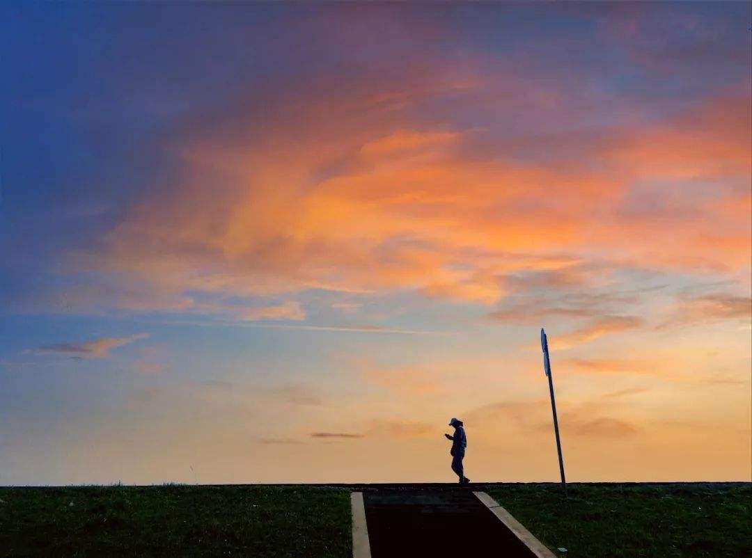 金融投资分析与技巧,金融投资入门技巧