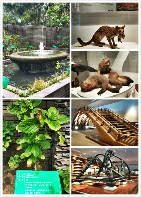 太有幸福感了！周杰伦同款奶茶喝到撑！攻略在此，拿走不谢