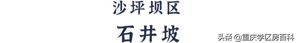 沙小、树人、七中！来看沙坪坝如何布局教育资源