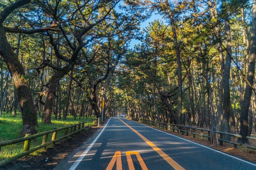 日本九州温泉城市,日本九州岛温泉