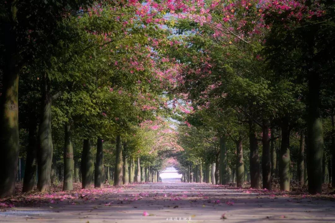 2019必去的旅行地,8月最新旅行地推荐