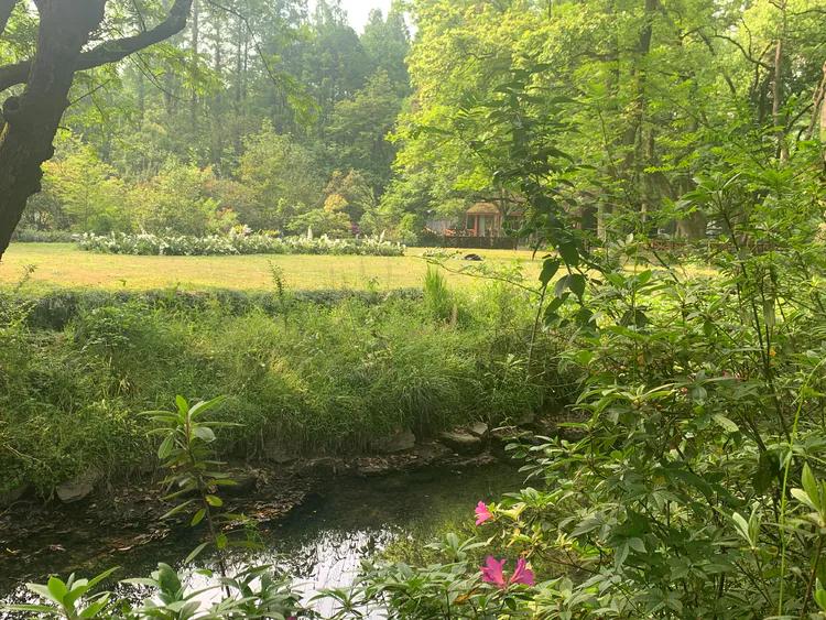 龙井村九溪十八涧徒步最佳路线图,九溪十八涧只有龙井村一个出口吗