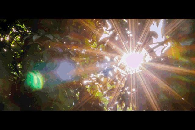 深圳游玩好去处攻略,深圳7个自驾游免费好去处推荐