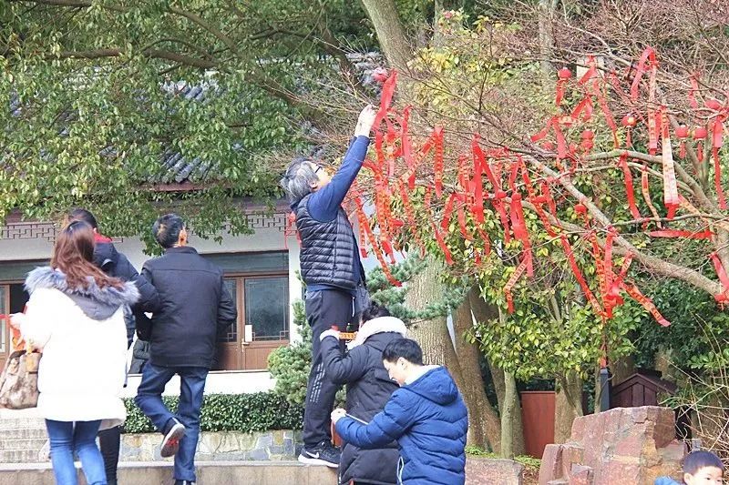 穹窿山风景区:金猪绘新春年味快乐过传统新年!