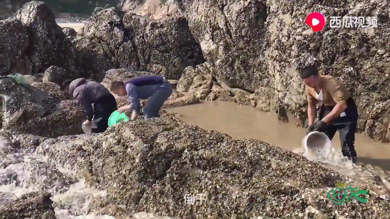 福建小伙抽干几百个水坑，带300万网友体验海边“开盲盒”