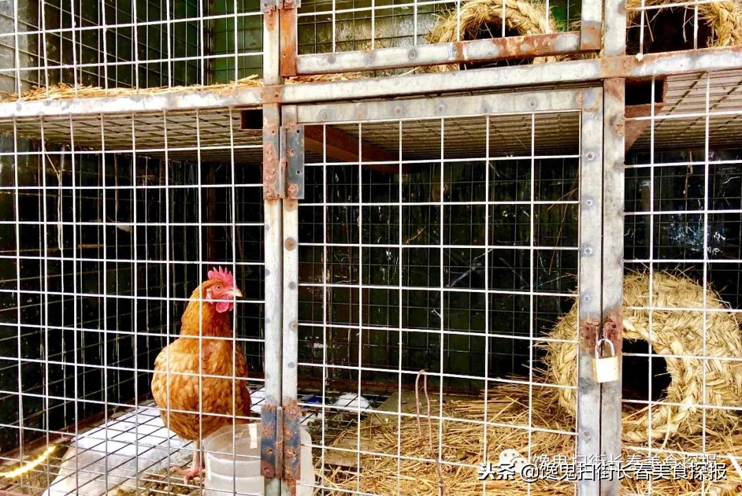 南湖别墅区藏个旧屯子，铁锅炖鱼天天爆满据说空姐都吃胖了！