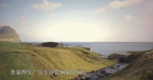 上海老用户福音：足不出户就能买到麦德龙是种什么体验？