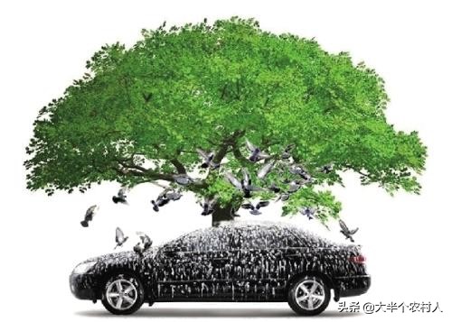 如何清理车漆的鸟粪和树胶痕迹,车漆上的鸟粪和树胶怎么处理