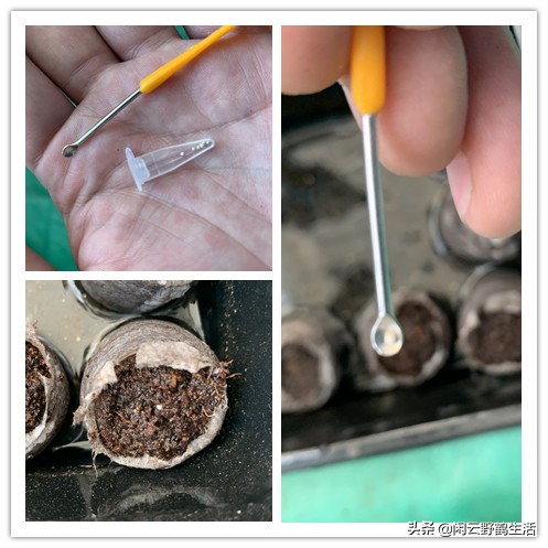 寓教于乐中成长与学习,寓教于乐中得到收获