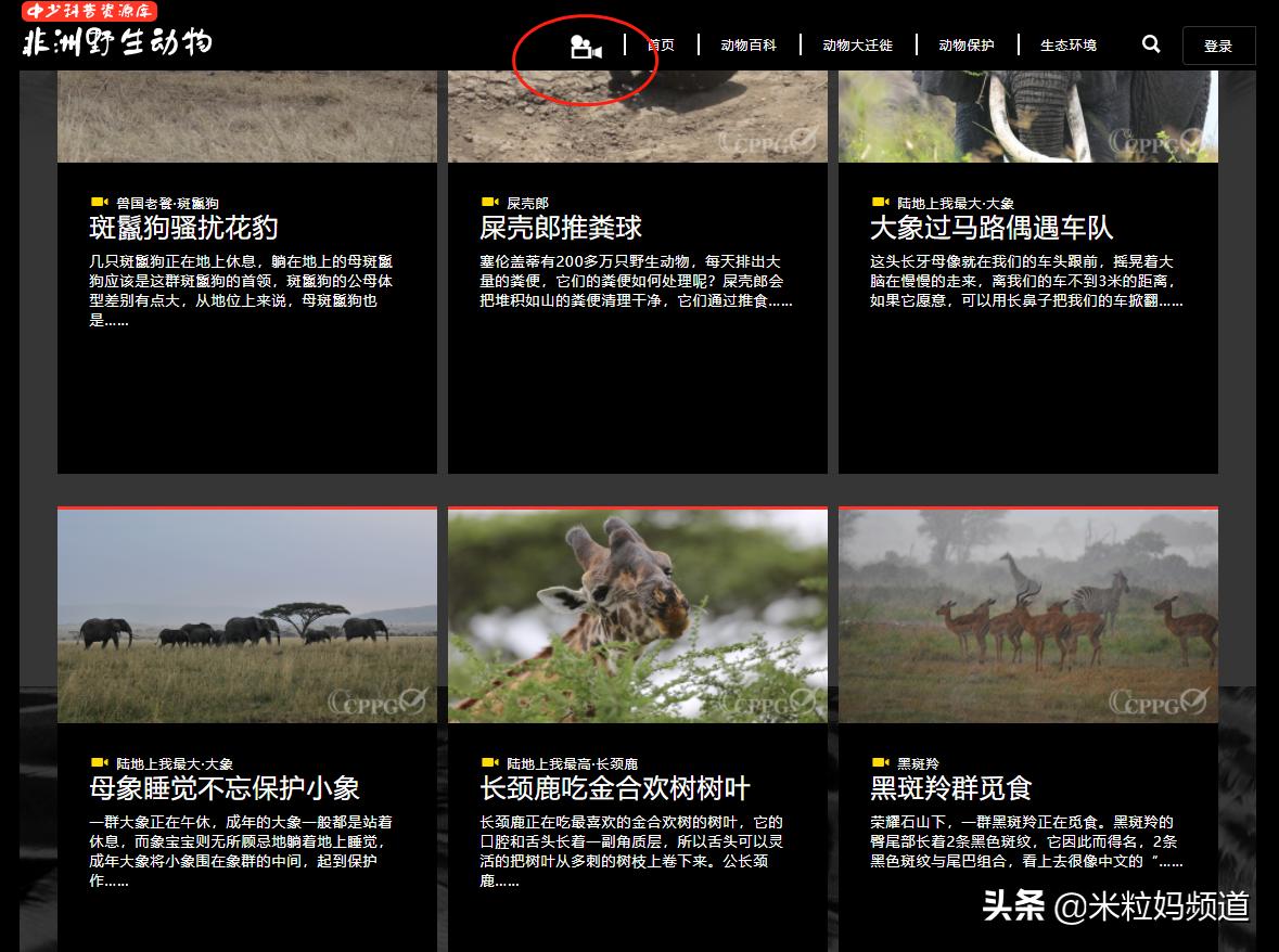 天上真能掉馅饼完整版,天上真的能掉馅饼吗