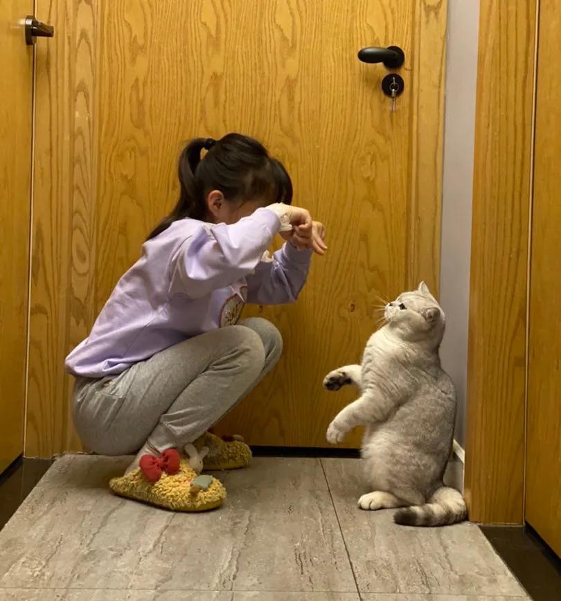 刷了2个月抖音的感慨,刷了二个月的抖音