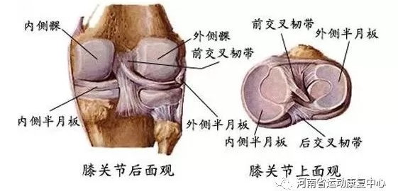 运动导致膝关节损伤怎么办,膝关节运动为什么会损伤