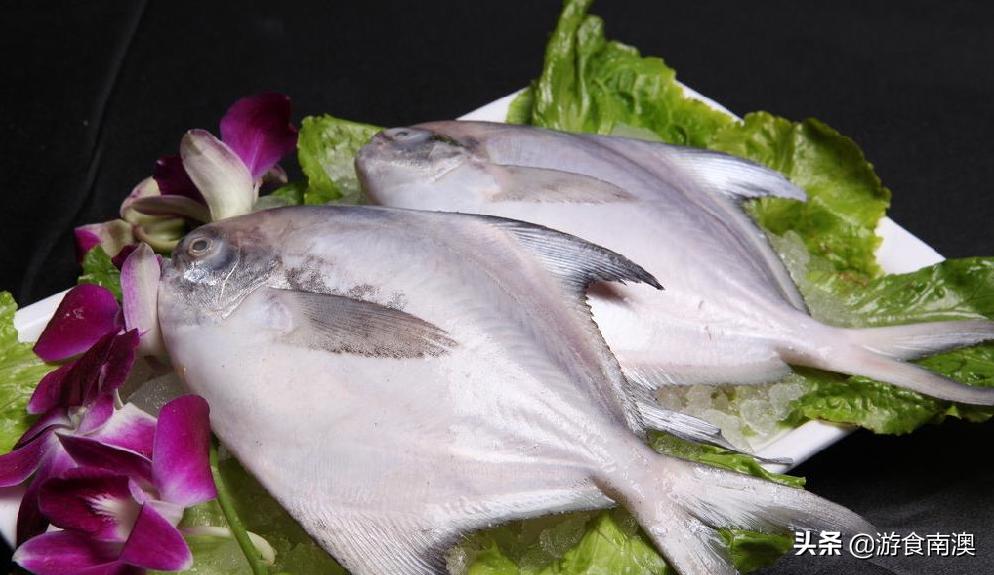 常见海鱼哪些好吃,常见的5种海鱼营养价值高