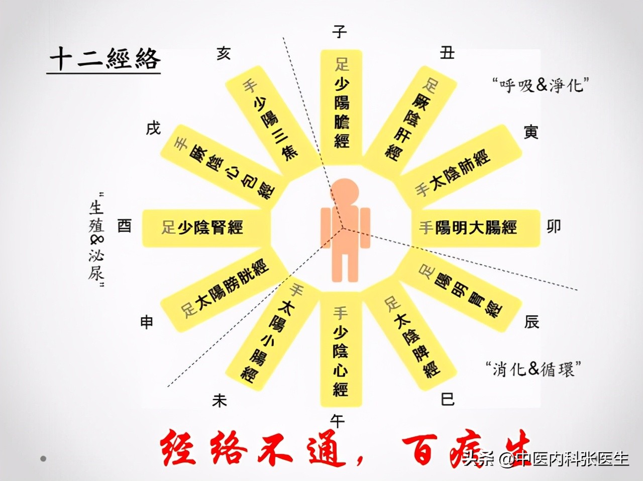结节的真实案例,发现结节不以为意分享经验教训