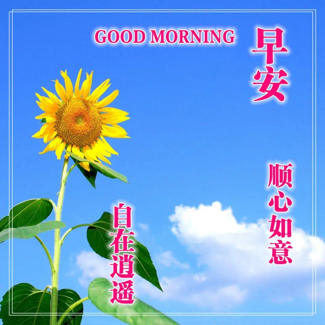 早上好表情图片带字早上好问候语,早上好祝福问候语大全简短图片