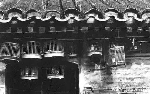 我独家的记忆,我的独家记忆照片