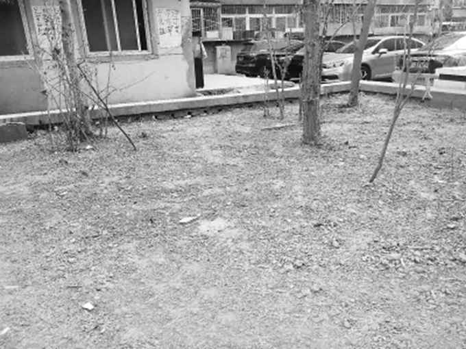 北京清和园的老旧小区改造,北京大兴清和园小区