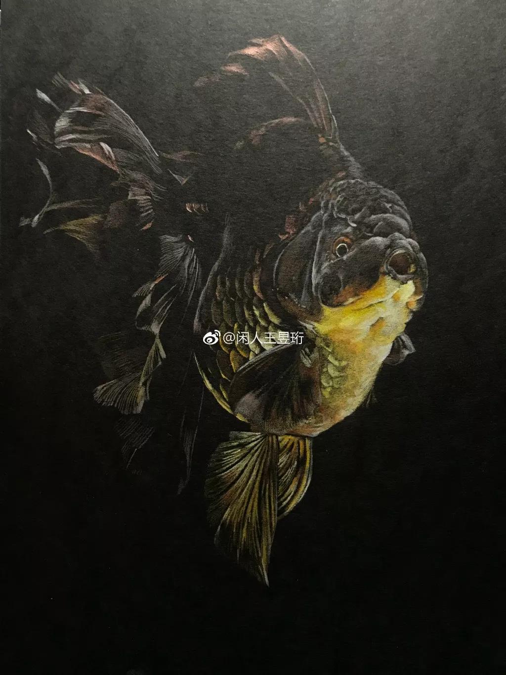 王昱珩上学经历,清华毕业的王昱珩