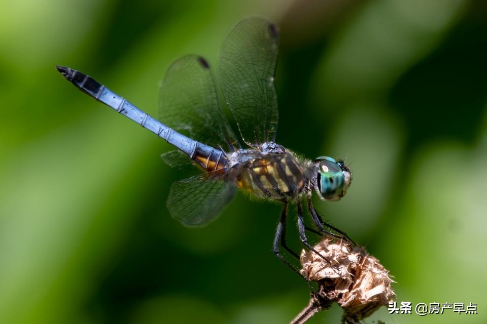 房产资讯头条新闻今天最新,房产每日必看热点新闻