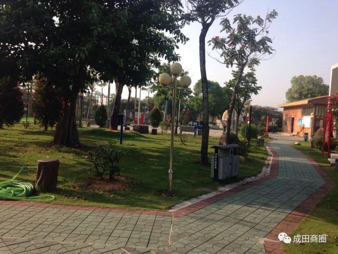 成田文化体育公园,成田镇体育馆