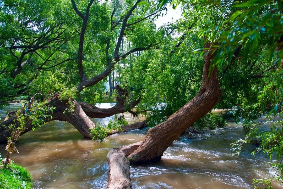 散文题材推荐,散文该写些什么
