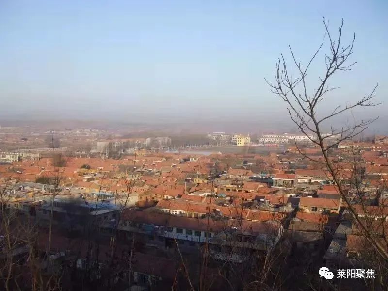 莱阳用电捕兔,莱阳猎兔