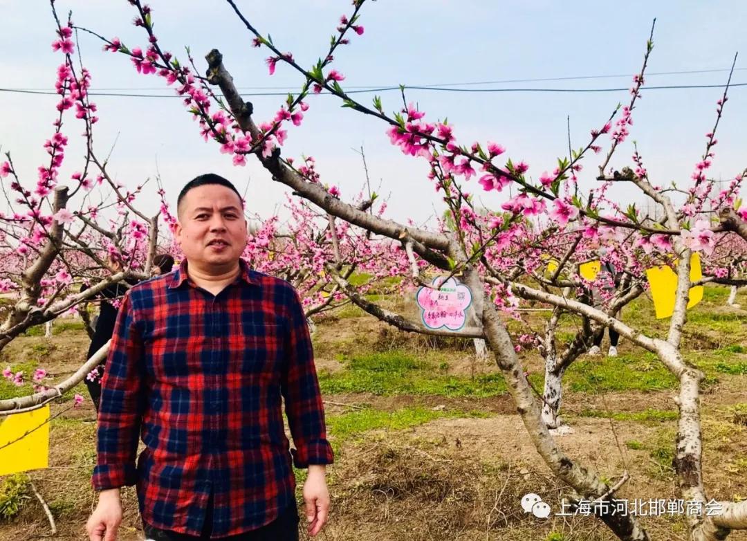 邯郸青年企业家商会,上海邯郸商会最新消息