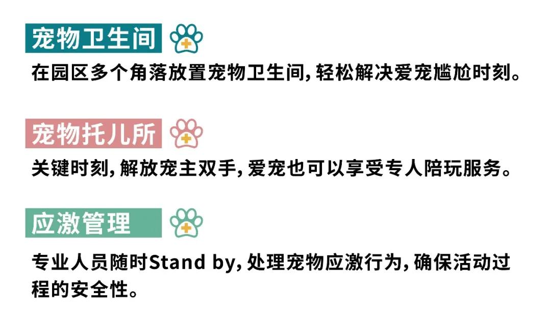 爱宠大机密作战计划,爱宠大作战作战计划