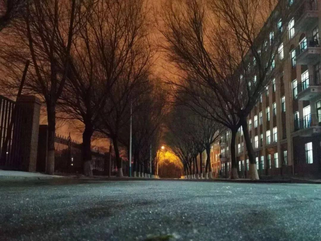 辽宁工程技术大学辽宁省分数线,辽宁工程技术大学在辽宁省排名