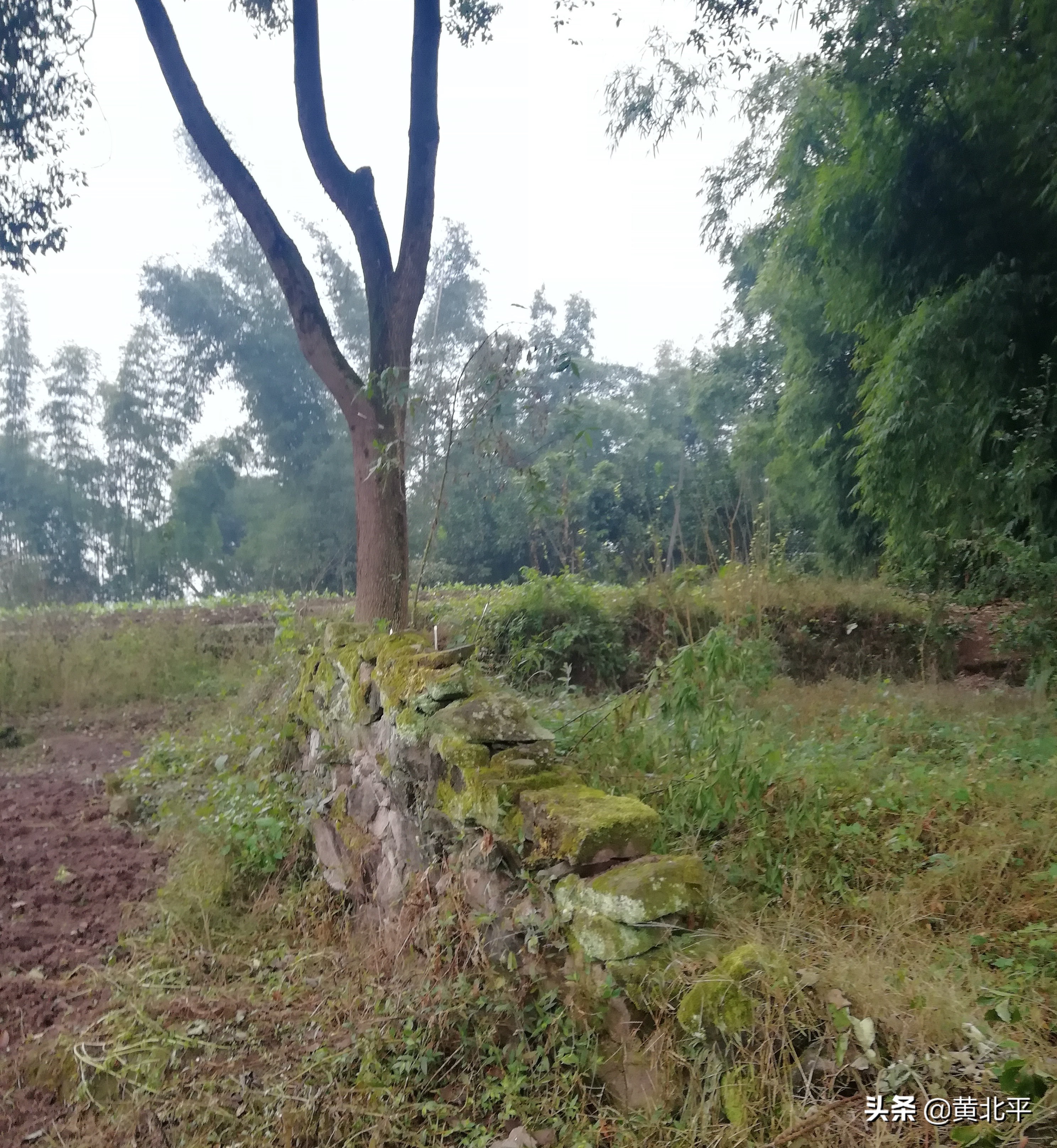 泸州神臂城遗址,老泸州遗址神臂城历史介绍