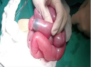 漂亮的玩具有什么,漂亮的玩具真的安全吗