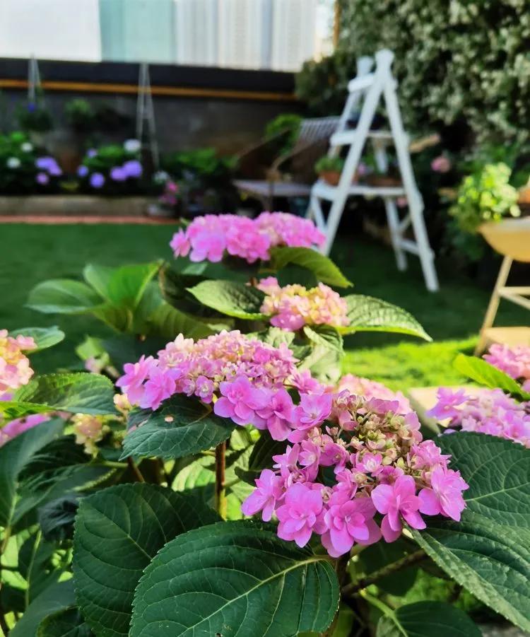 第七届园丁奖,第六届园丁奖奖励