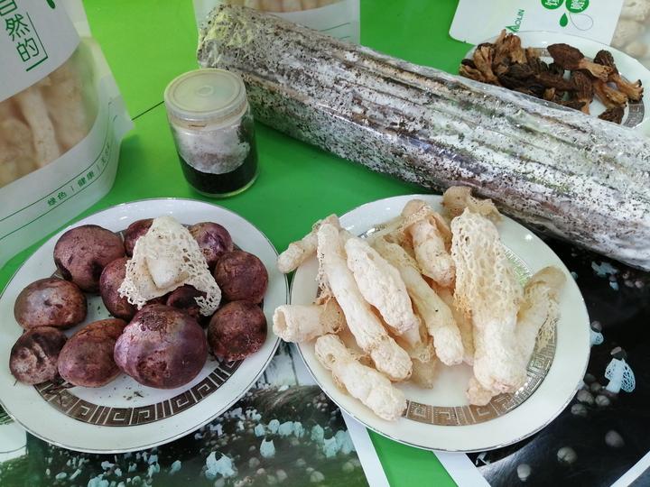 14万一斤的冬虫夏草,14万元一斤的冬虫夏草