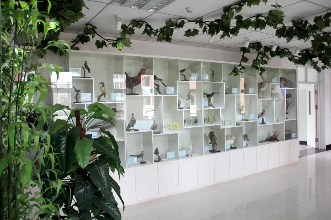 天津市第五十五中学第37届艺术节,天津市第五十四中学是市重点吗