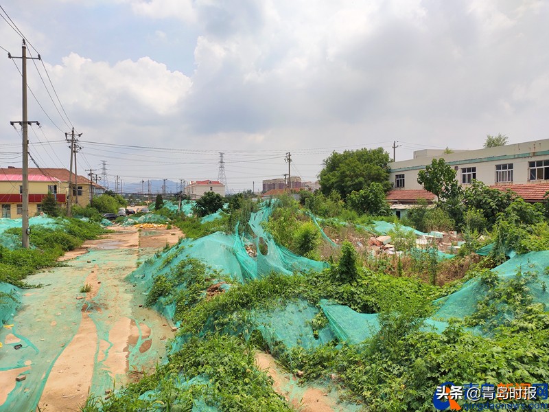 为2023亚洲杯建造的足球场,亚洲杯青岛青春足球场