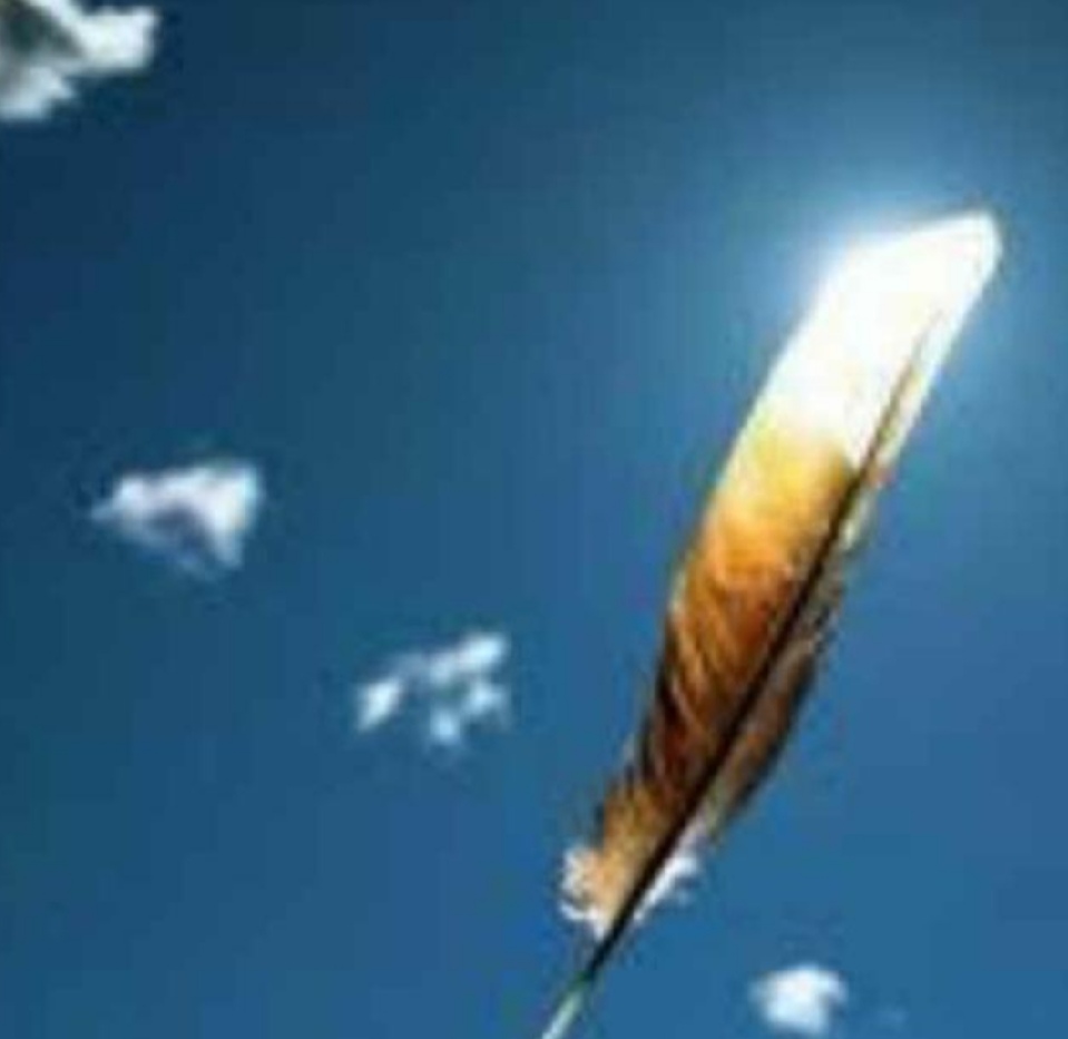 女排男篮世界杯,男篮和女排世界杯