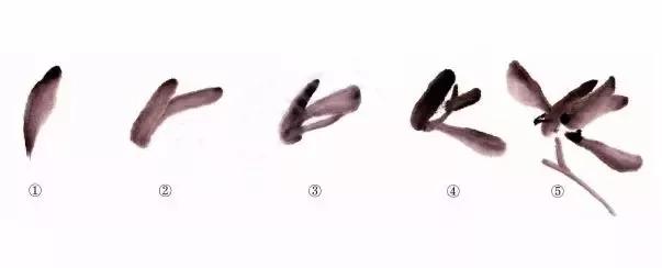 兰花绘画技法教程视频,泰国兰花绘画技法