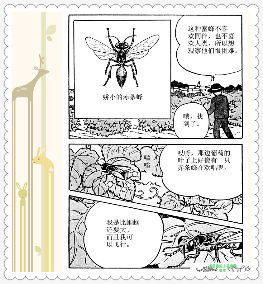 昆虫记法布尔动画片,昆虫记法布尔全套