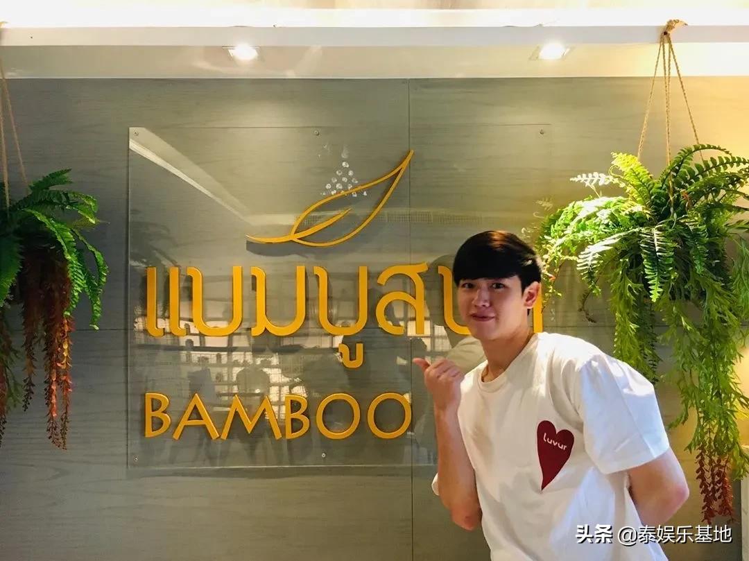 泰星靠什么赚钱,泰星的副业