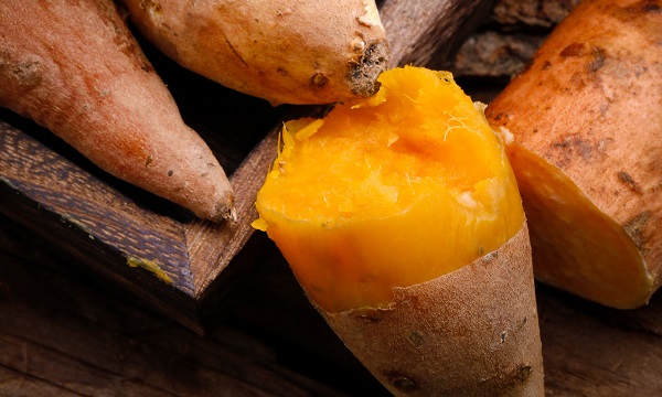 广东湛江市十大特产,湛江雷州十大特产