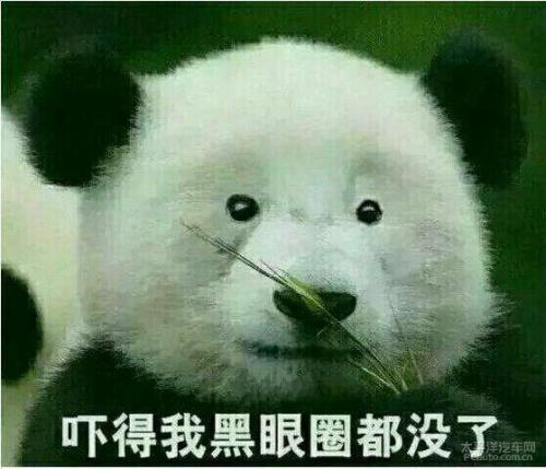 怎么遮黑眼圈,黑眼圈是人人都有的吗