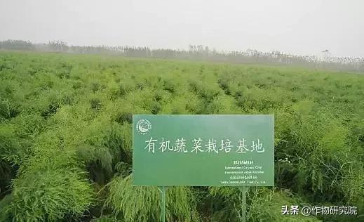 有机农场能赚钱吗,有机农场失败案例