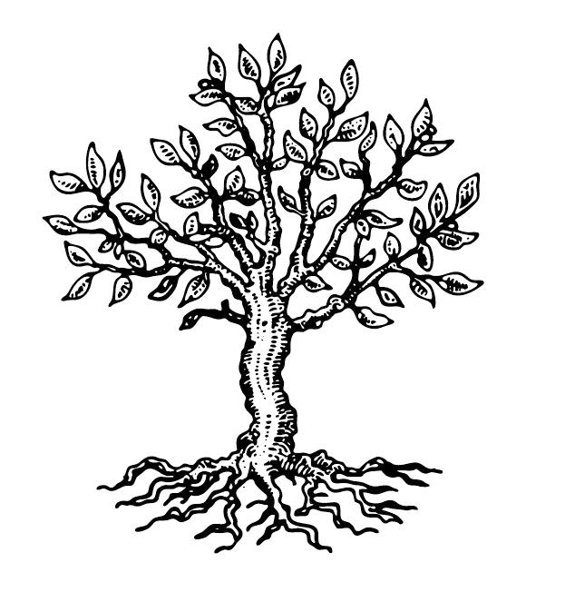 华为反思,华为的反思