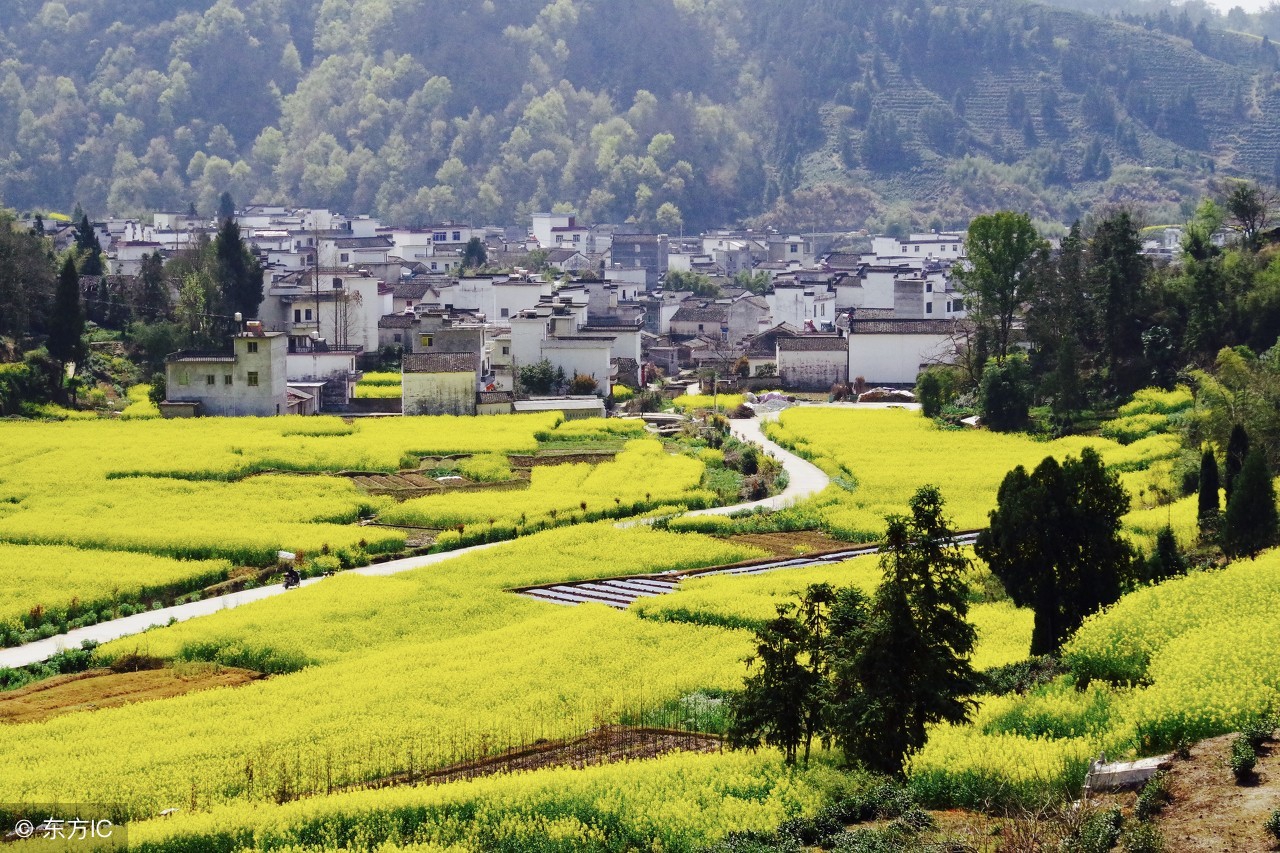 必背75首古诗第49首,必背古诗80首大全
