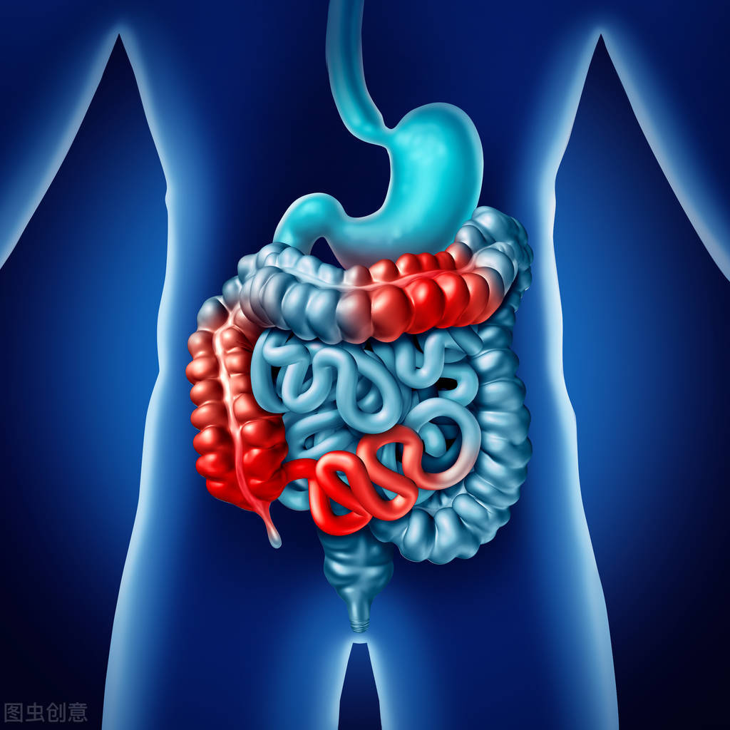 柿子引发的肠梗阻,柿饼为什么会导致肠梗阻