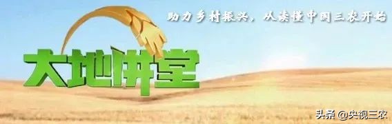 有机食品与健康知识,有机食品纯天然食品讲解