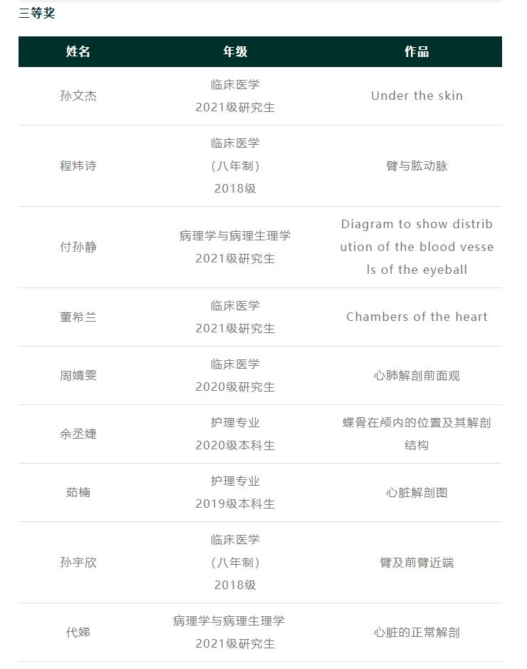 灵魂画手的手绘作品,医学生手绘器官创意解剖绘画