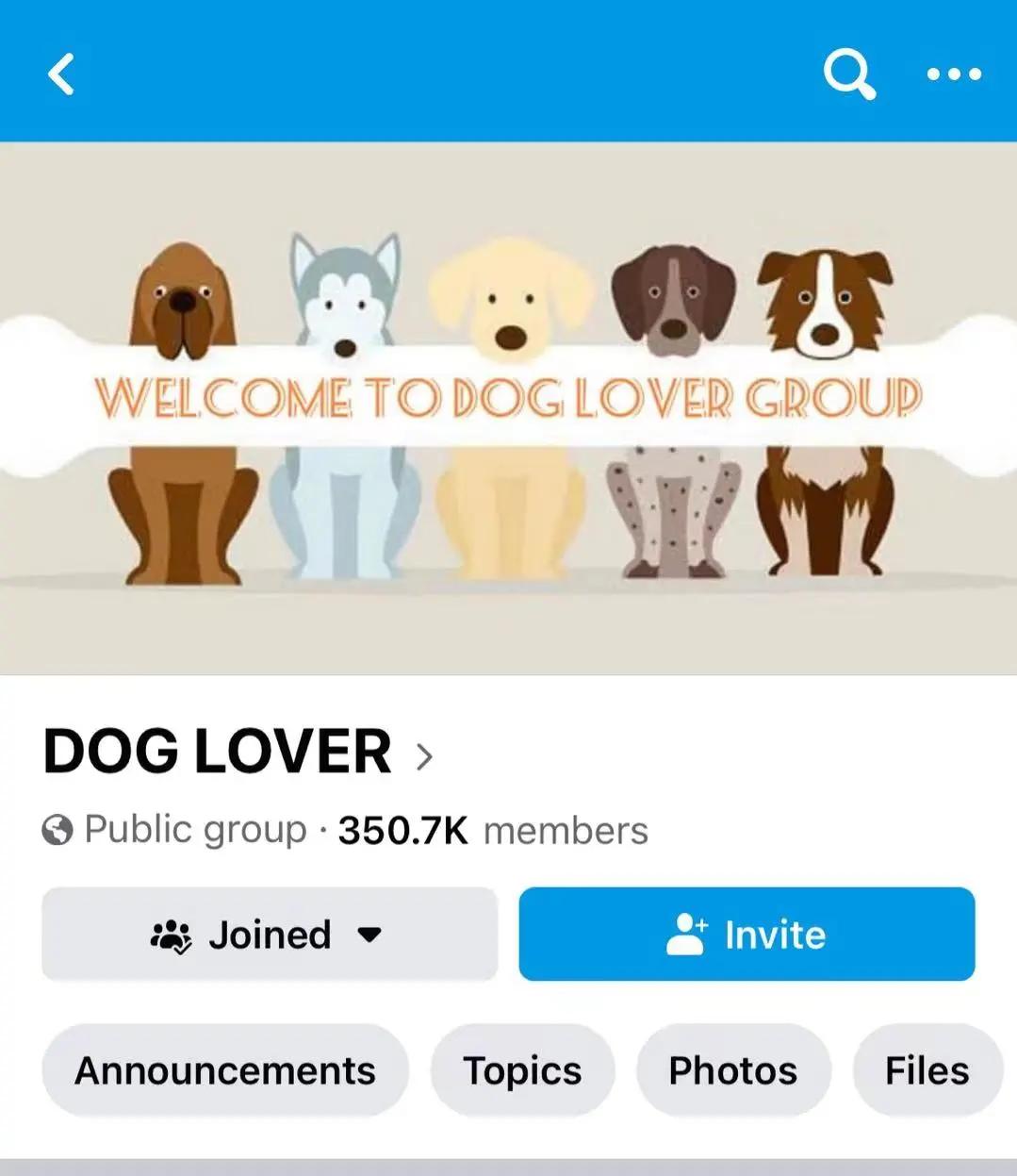 瀹犵墿绀剧兢鎺ㄥ箍,瀹犵墿鍝佺墝绀剧兢钀ラ攢